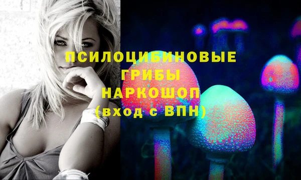 МДПВ Навашино