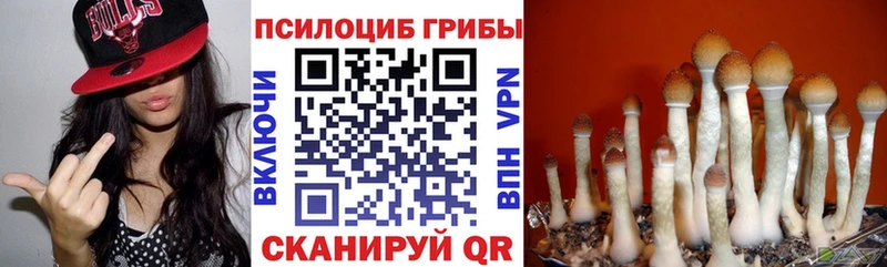 Псилоцибиновые грибы MAGIC MUSHROOMS  Лермонтов 